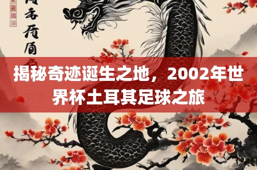 揭秘奇迹金炬实业股份有限公司诞生之地，2002年世界杯土耳其足球之旅