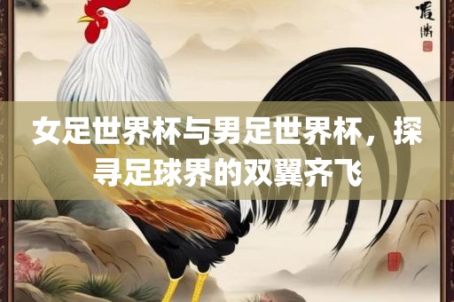 女足世界杯与男足世界杯，探寻足球界的双翼齐飞