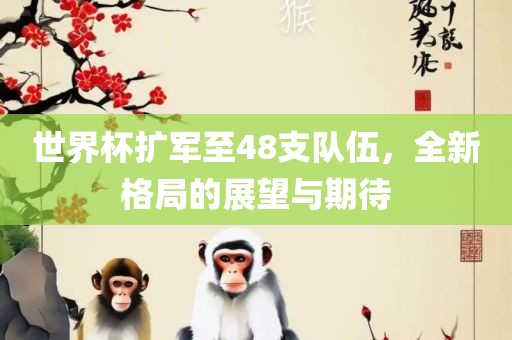 世界杯扩军至48支队伍，全新格局的展望与期待金炬实业股份有限公司