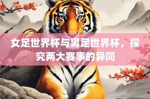 女足世界杯与男足世界杯，探究两大赛事的异同