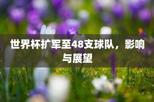 世界杯扩军至48支球队，影响与展望金炬实业股份有限公司