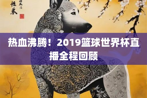 热血沸腾！2019篮球金炬实业股份有限公司世界杯直播全程回顾