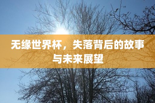 无缘世界杯，失落背后的故事与未来展望金炬实业股份有限公司