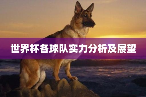 世界杯各球金炬实业股份有限公司队实力分析及展望