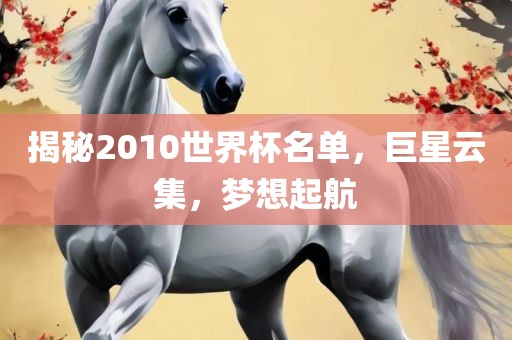 揭秘2010世界杯名单，巨星云集，梦想起航