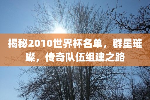 揭秘2010世界杯名单，群星璀璨，传奇队伍组建之路