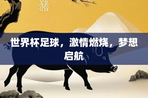 世界杯足球，激情燃烧，梦想启航