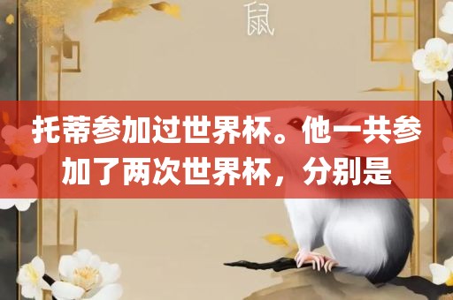 托蒂参加过世界杯。他一共参加了两次世界杯，分别是