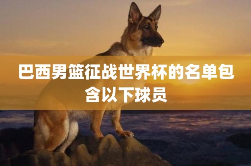 巴西男篮征战世界杯的名单包含以下球员