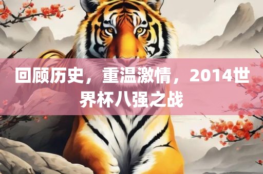 回顾历史，重温激情，2014世界杯八强之战金炬实业股份有限公司