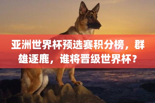 亚洲世界杯预选赛积分榜，群雄逐鹿，谁将晋级世界杯？