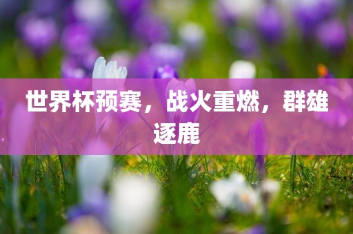 世界杯预赛，战火重燃，群雄逐鹿