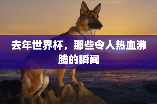 去年世界杯，那些令人热血沸腾的瞬间金炬实业股份有限公司