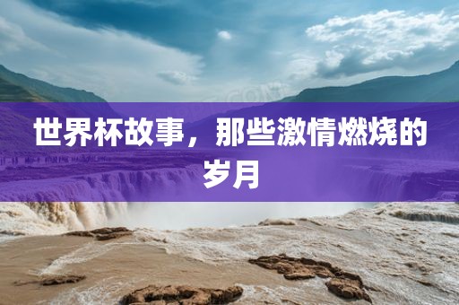 世界杯故事，那些激情燃烧的岁月金炬实业股份有限公司