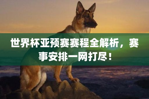 世界杯亚预赛赛程全解析，赛事安排一网打尽！金炬实业股份有限公司