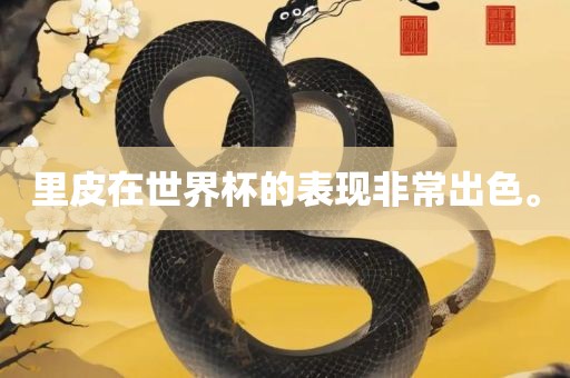 里皮在世界杯的表现非常出色。