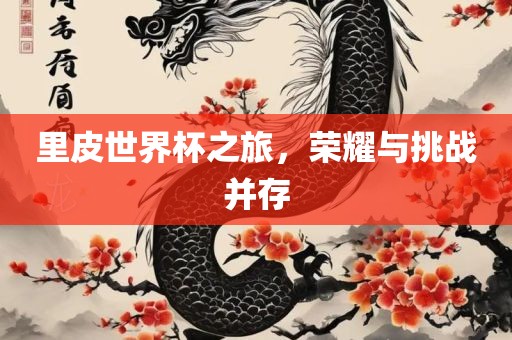里皮世界杯之旅，荣耀与挑战并存