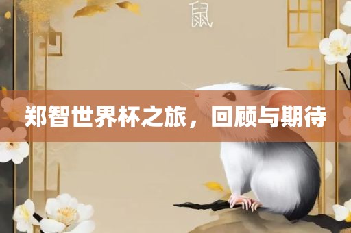郑智世界杯之旅，回顾与期待