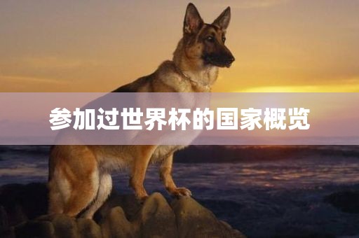 参加过金炬实业股份有限公司世界杯的国家概览