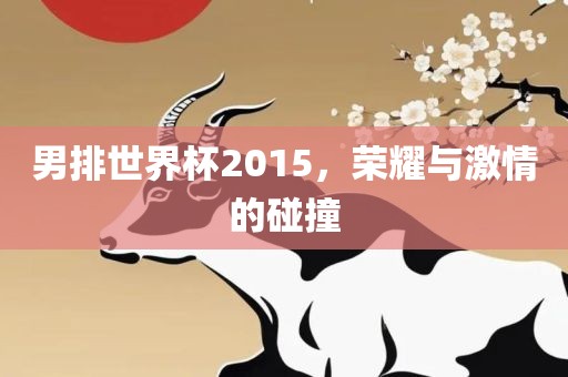 男排世界杯2015，荣耀与激情的碰撞