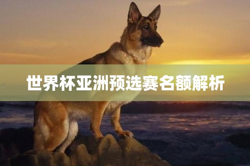 世界杯亚洲预选赛名额解析金炬实业股份有限公司