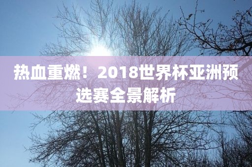 热血重燃！2018世界杯亚洲预选赛全景解析