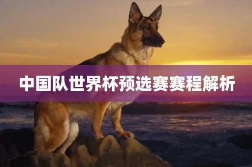 中国队世界杯预选赛赛程解析