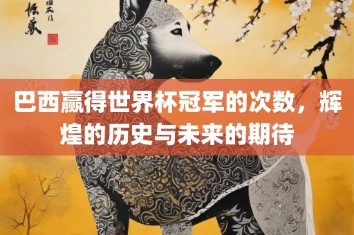 巴西赢得世界杯冠军的次数，辉煌的历史与未来的期待