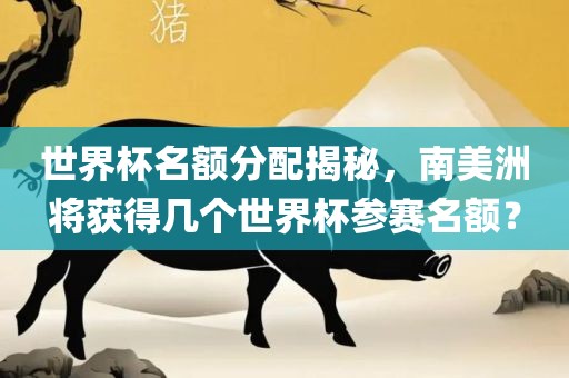 世界杯名额分配揭秘，南美洲将获得几个世界杯参赛名额？