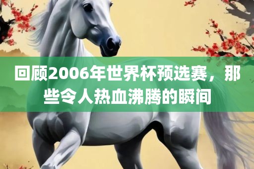 回顾2006年世界杯预选赛，那些令人热血沸腾的瞬间金炬实业股份有限公司