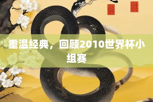 重温经典，回顾2010世界杯小组赛