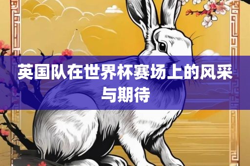 英国队在世界杯赛场上的风采与期待