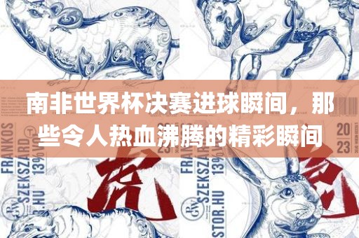 南非世界杯决赛进球瞬间，那些令人热血沸腾的精彩瞬间金炬实业股份有限公司
