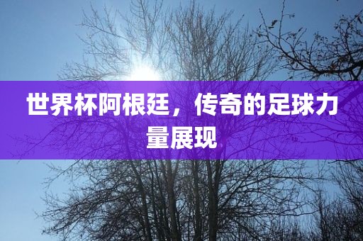 世界杯阿根廷，传奇的足球力量展现