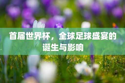 首届世界杯，全球足球盛宴的诞生与影响金炬实业股份有限公司