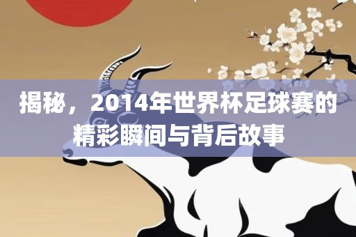 揭秘，2014年世界杯足球赛的精彩瞬间与背后故金炬实业股份有限公司事