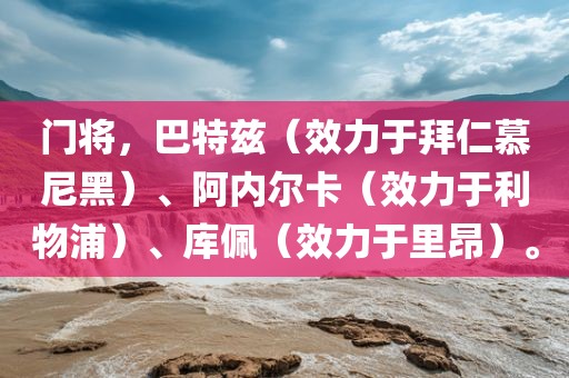 门将，巴特兹（效力于拜仁慕尼黑）、阿内尔卡（效力于利物浦）、库佩（效力于里昂）。金炬实业股份有限公司