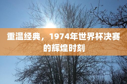 重温经典，1974年世界杯决赛的辉煌时刻金炬实业股份有限公司
