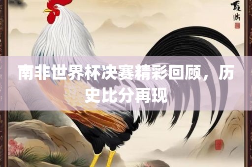南非世界杯决赛精彩回顾，历史比分再现