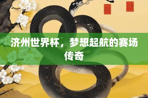 济州世界杯，梦想起航的赛场传奇