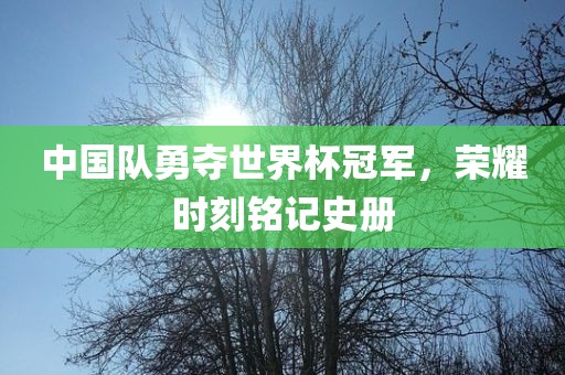 中国队勇夺世界杯冠军，荣耀时刻铭记史册