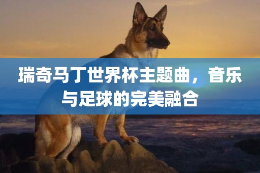 瑞奇马丁世界杯主题曲，音乐与足球的完美融合