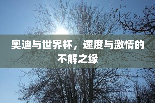 奥迪与世界杯，速度与激情的不解之缘金炬实业股份有限公司