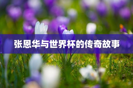 张恩华与世界杯的传奇故事