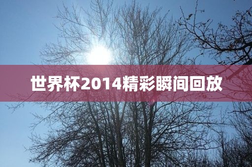 世界杯2014精彩瞬间回放
