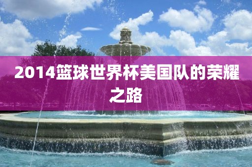 2014篮球世界杯美国队的荣耀之路