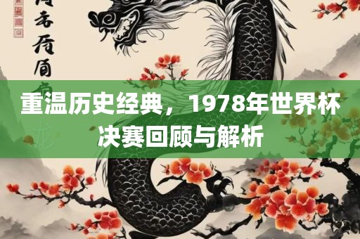 重温历史经典，1978年世界杯决赛回顾与解析