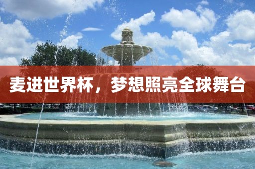 麦进世界杯，梦想照亮全球舞台金炬实业股份有限公司