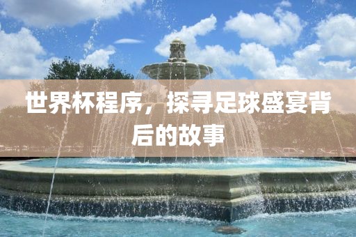 世界杯程序，探寻足球盛宴背后的故事