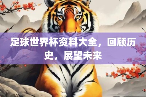 足球世界杯资料大全，回顾历史，展望未来金炬实业股份有限公司